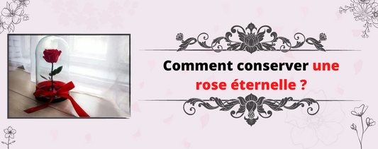 Comment conserver une rose éternelle 