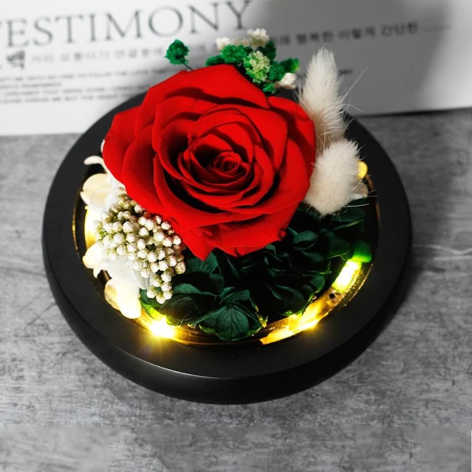 Rose éternelle Rouge