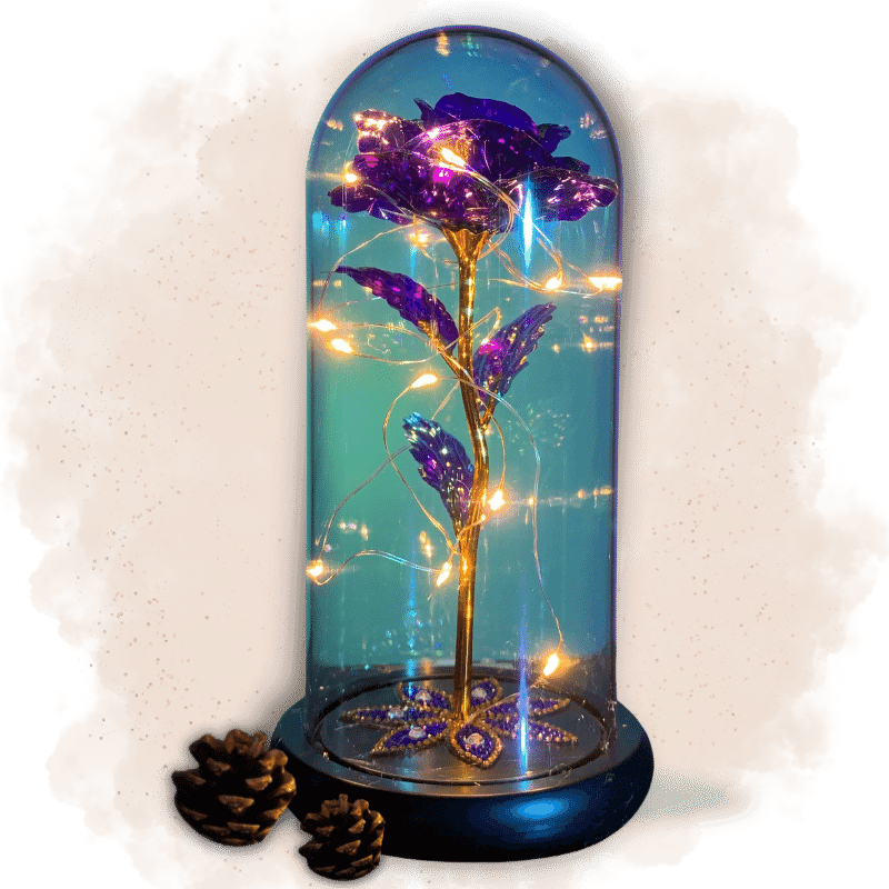 fleur immortelle