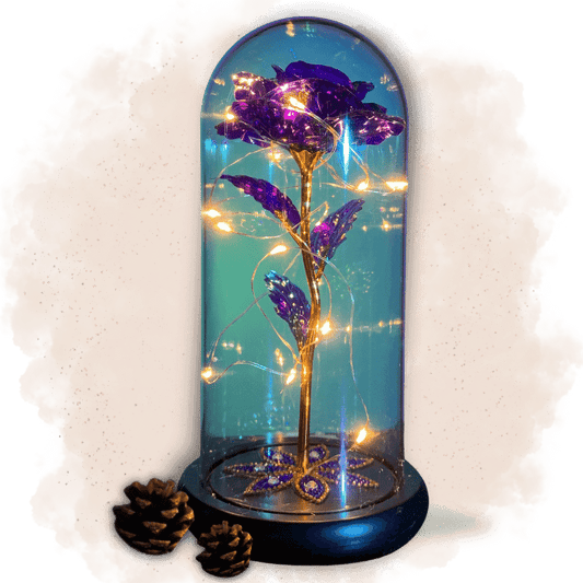 fleur immortelle