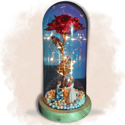 fleur immortelle