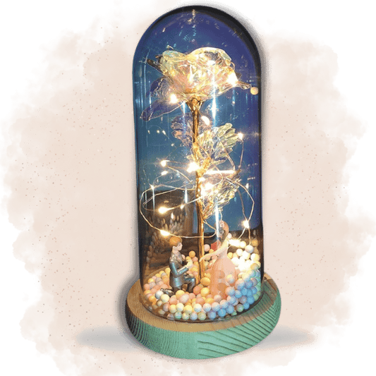 fleur immortelle
