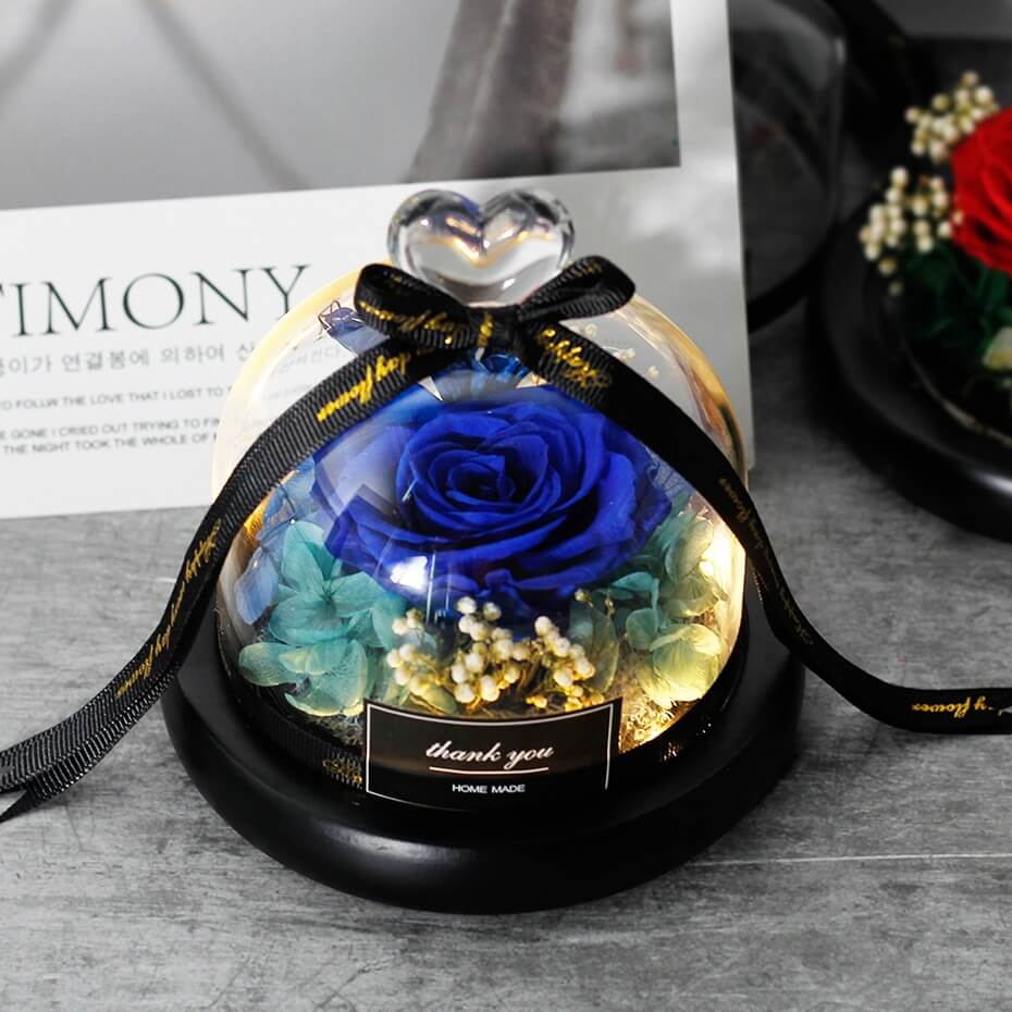 rose éternelle sous cloche