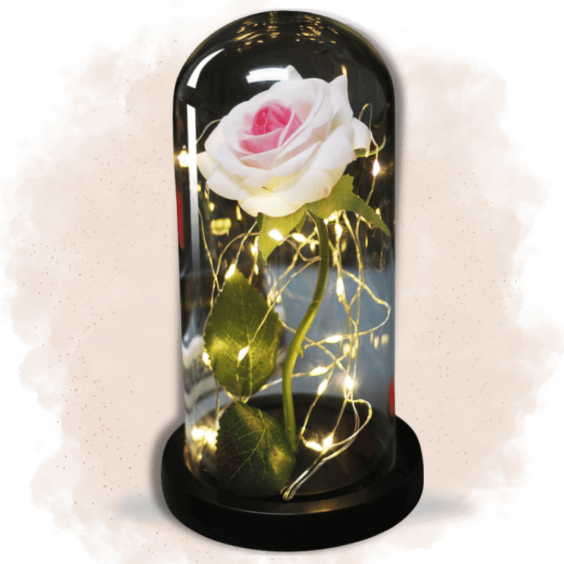 Rose Éternelle avec tige