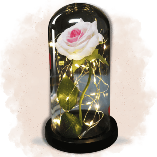 Rose Éternelle avec tige