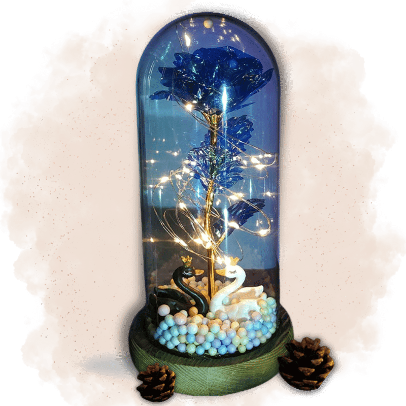 fleur immortelle