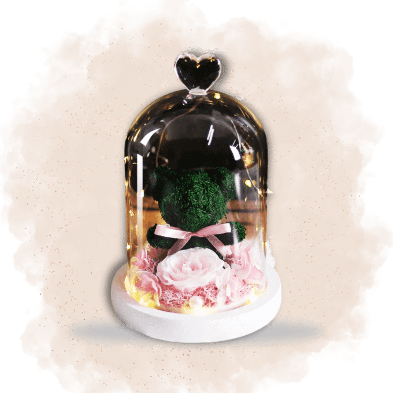 rose sous cloche