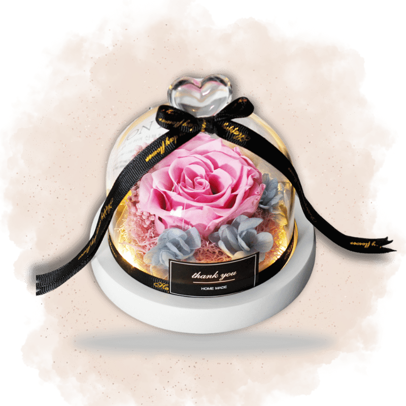 Ours En Roses éternelles Sous Cloche - Cadeau Romantique Saint-Valentin, Anniversaire, Fête Des Mères